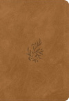 ESV Applying the Gospel Study Bible for Women -  Nubuck Caramel